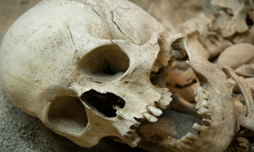 മാവടിയില്‍ കണ്ടെത്തിയ അസ്ഥികൂടം;  രണ്ടുവര്‍ഷം മുമ്പ് കാണാതായ ഗൃഹനാഥ​േൻറത്