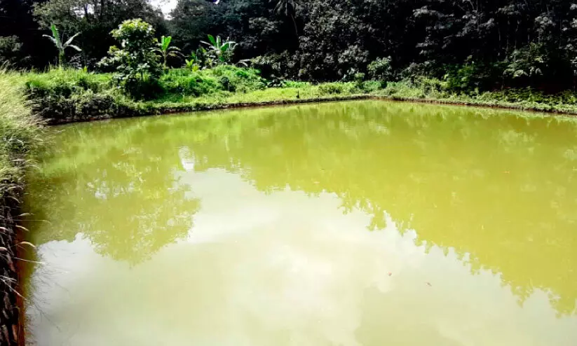 ക്ഷേത്രക്കുളം മത്സ്യകൃഷിക്കായി തെരഞ്ഞെടുത്തത് വിവാദത്തിലേക്ക്