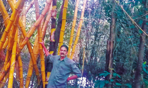 മുളയെ പ്രണയിച്ച അപ്പച്ചന്‍ മാസ്​റ്റർ