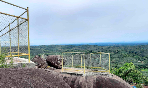 മരുതിമല ഇക്കോ ടൂറിസം ഭൂമി തരംമാറ്റൽ;  വീണ്ടും സർവേ നടത്തുമെന്ന് തഹസിൽദാർ