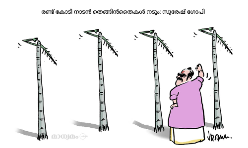 തെങ്ങ് ചതിക്കില്ല