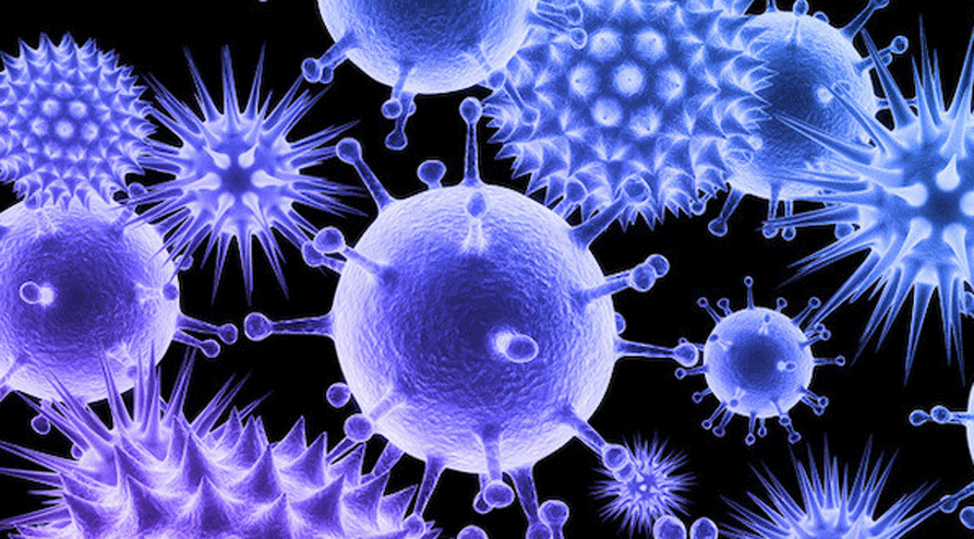 കോവിഡിൽനിന്ന് കരകയറിയ രാജ്യങ്ങളുടെ പട്ടികയിൽ സൗദി രണ്ടാം സ്ഥാനത്ത് കോവിഡിൽനിന്ന് കരകയറിയ രാജ്യങ്ങളുടെ പട്ടികയിൽ സൗദി രണ്ടാം സ്ഥാനത്ത്