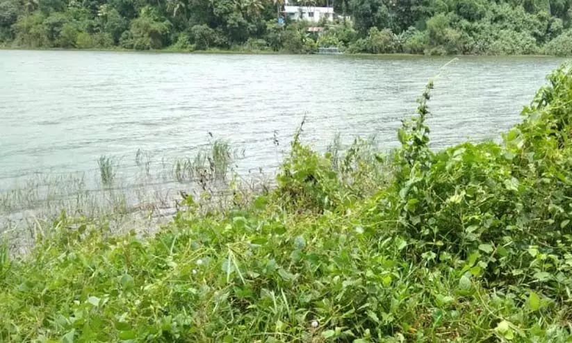 ശാസ്താംകോട്ട കായലിലെ ജലനിരപ്പ് ക്രമാതീതമായി ഉയരുന്നു