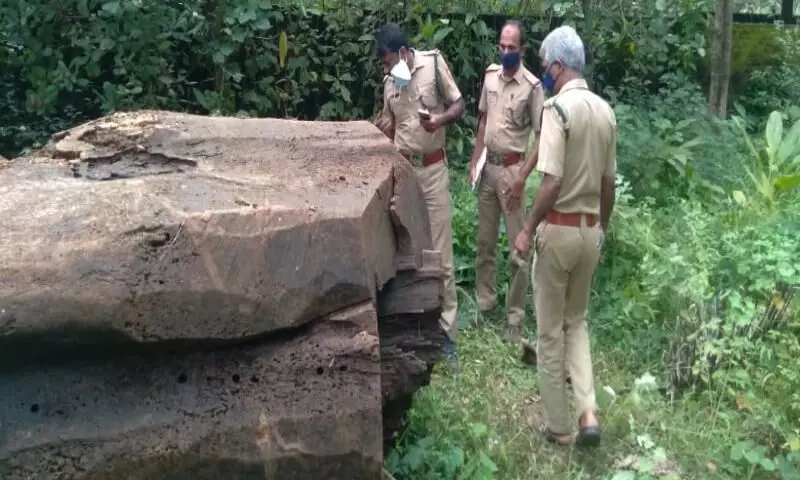 ഉപേക്ഷിക്കപ്പെട്ട ലക്ഷങ്ങൾ വിലമതിക്കുന്ന തടികൾ വനം വകുപ്പ് ഏറ്റെടുത്തു ഉപേക്ഷിക്കപ്പെട്ട ലക്ഷങ്ങൾ വിലമതിക്കുന്ന തടികൾ വനം വകുപ്പ് ഏറ്റെടുത്തു