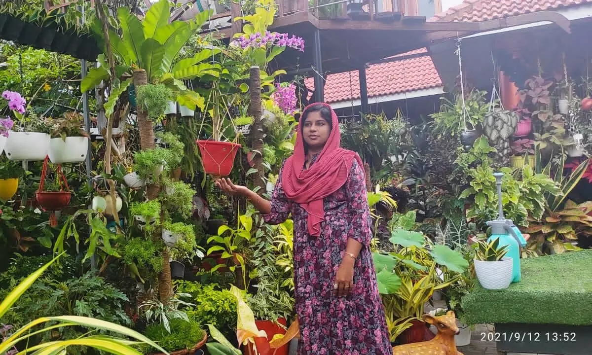 kollam kunnikkode resident haseena jabbars garden business