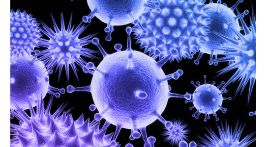 കോ​വി​ഡി​ൽ​നി​ന്ന് ക​ര​ക​യ​റി​യ രാ​ജ്യ​ങ്ങ​ളു​ടെ പ​ട്ടി​ക​യി​ൽ   സൗ​ദി ര​ണ്ടാം സ്ഥാ​ന​ത്ത്