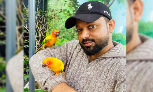 റാഫി വിളിച്ചാൽ, പറന്നെത്തും പക്ഷികൾ റാഫി വിളിച്ചാൽ, പറന്നെത്തും പക്ഷികൾ