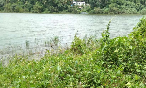 ശാസ്താംകോട്ട കായലിലെ ജലനിരപ്പ് ക്രമാതീതമായി ഉയരുന്നു