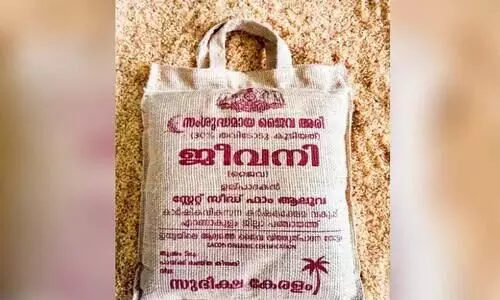 Jeevani rice Available in the market