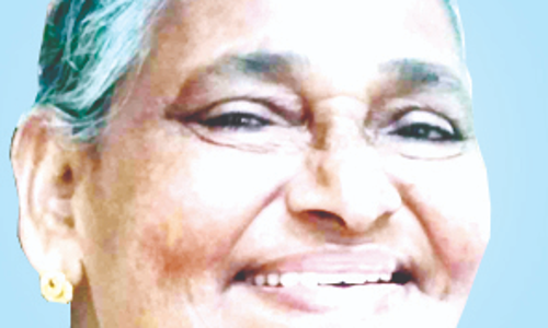 വീ​ട്ട​മ്മ ട്രെ​യി​ൻ ത​ട്ടി മ​രി​ച്ചു