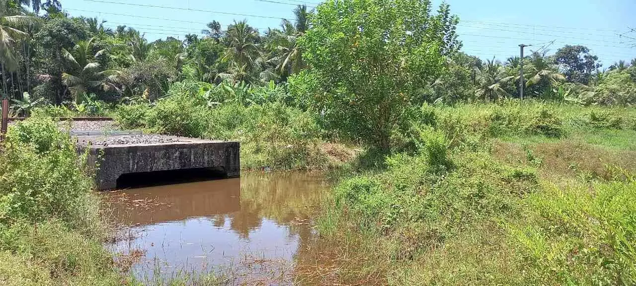 അടിപ്പാത പരാജയം ചന്തേരക്ക് വേണ്ടത് മേൽപ്പാലം അടിപ്പാത പരാജയം ചന്തേരക്ക് വേണ്ടത് മേൽപ്പാലം