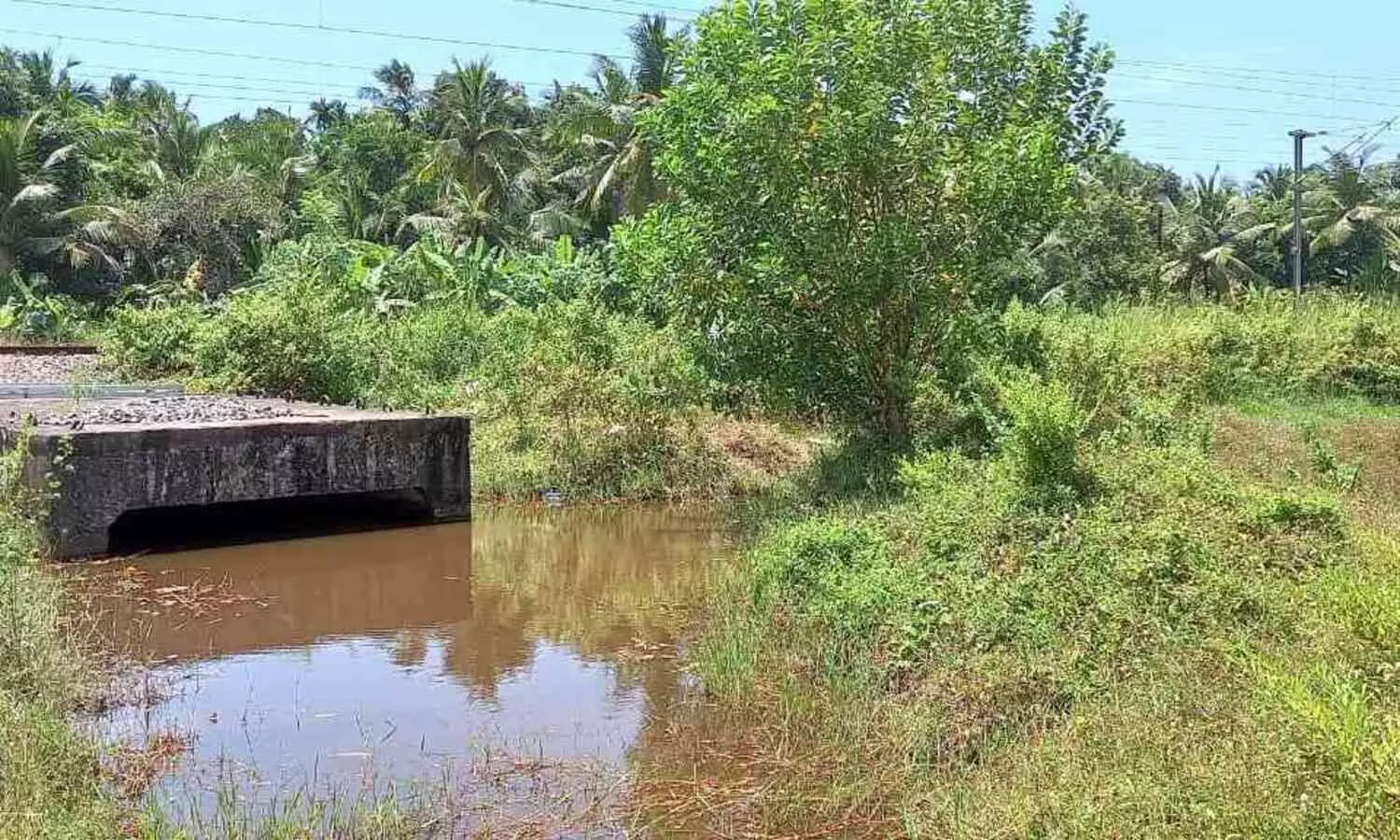 അടിപ്പാത പരാജയം  ചന്തേരക്ക് വേണ്ടത് മേൽപ്പാലം