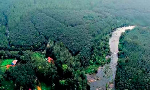ശബരിമല വിമാനത്താവളം പഠനറിപ്പോർട്ട്​ തയാറാക്കിയത്​ സ്​ഥലം സന്ദർശിക്കാതെ