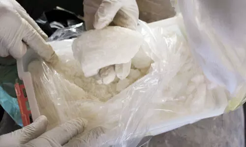 അബൂദബി കസ്​റ്റംസ് 38.70 കിലോ മയക്കുമരുന്ന് പിടിച്ചെടുത്തു