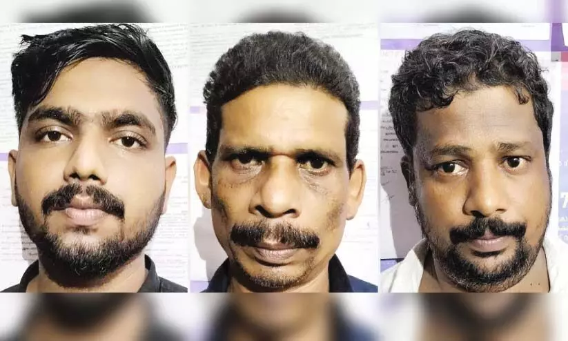 Kozhikode residents arrested with 17 kg of cannabis