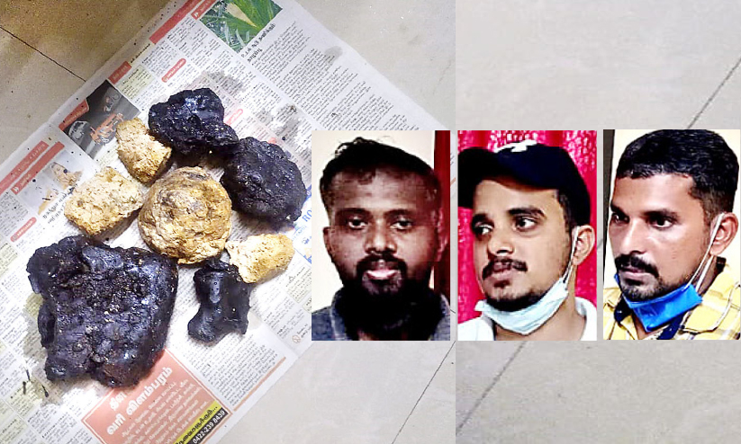 50 ലക്ഷത്തോളം രൂപയുടെ തിമിംഗല ഛർദി പിടികൂടി 50 ലക്ഷത്തോളം രൂപയുടെ തിമിംഗല ഛർദി പിടികൂടി