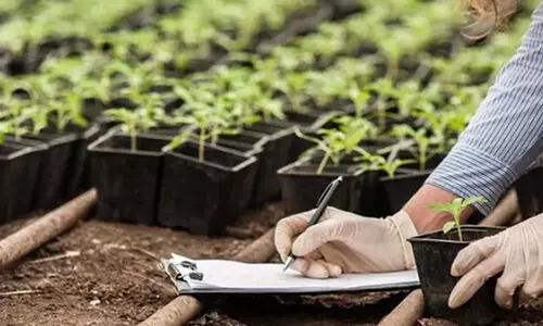 അബൂദബിയില്‍ കാര്‍ഷിക ഭൂമി   പാട്ടത്തിന് രജിസ്​റ്റര്‍ ചെയ്യാം