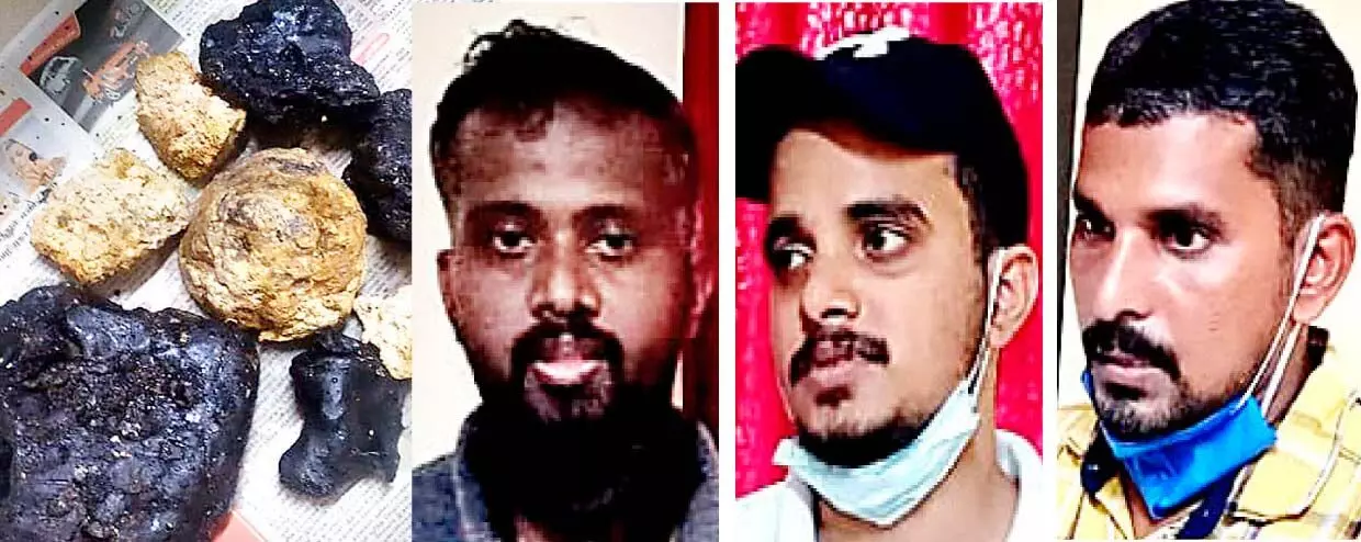 വി​ൽ​പ​ന​ക്കെ​ത്തി​ച്ച 50 ലക്ഷത്തോളം രൂപയുടെ ആംബർഗ്രീസ് പിടികൂടി