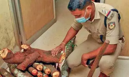 ചന്ദനമരം മുറിച്ചുകടത്താനുള്ള നീക്കം പൊലീസ് വിഫലമാക്കി