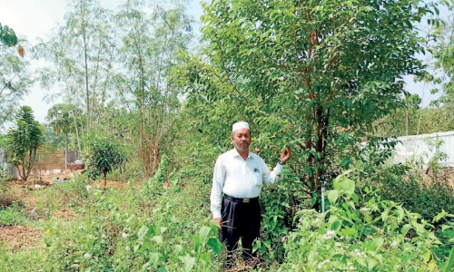 ഊദിനോട് ഇഷ്​ടം കൂടി ഹക്കീം വൈദ്യർ