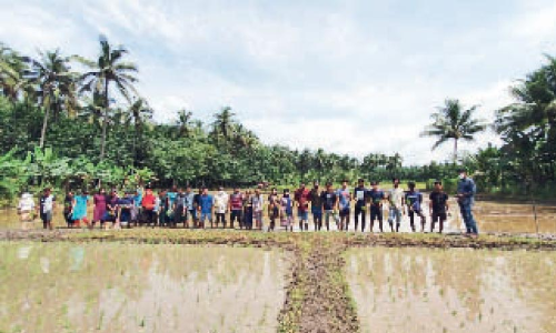 ഞാ​റ്റു​പാ​ട്ടി​െൻറ ഈ​ണ​വും താ​ള​വും നു​ക​ര്‍ന്ന് വി​ദ്യാ​ര്‍ഥി​ക​ളു​ടെ ന​ടീ​ല്‍ ഉ​ത്സ​വം