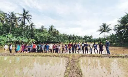 ഞാ​റ്റു​പാ​ട്ടി​െൻറ ഈ​ണ​വും താ​ള​വും നു​ക​ര്‍ന്ന് വി​ദ്യാ​ര്‍ഥി​ക​ളു​ടെ ന​ടീ​ല്‍ ഉ​ത്സ​വം