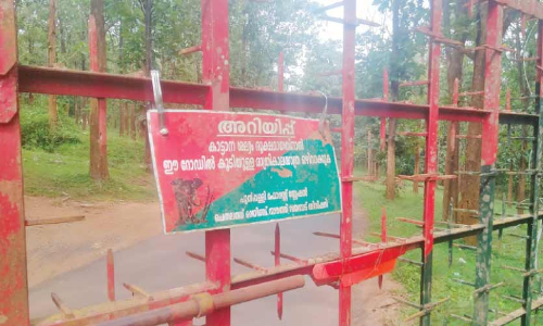 വനപാതയിൽ ഗതാഗത നിയന്ത്രണം; വ്യാപക പ്രതിഷേധം