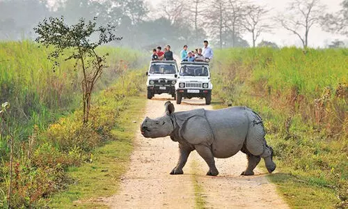 കോവിഡ് നിയന്ത്രണങ്ങളില്‍ ഇളവ്; അസം കാസിരംഗ അടക്കം ദേശീയോദ്യാനങ്ങള്‍ തുറക്കുന്നു