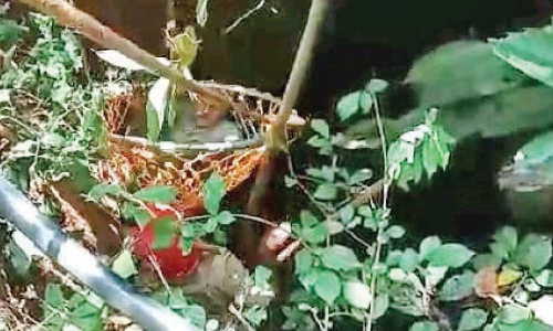 മണിക്കൂറിലധികം കിണറ്റിൽ; അനിയൻ നായർക്കിത് പുനർജന്മം