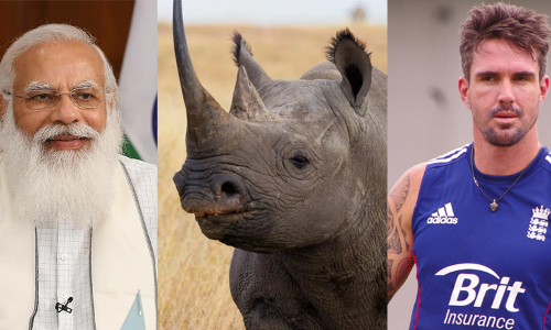 നന്ദി മോദി...! ഇന്ത്യയിലെ കാണ്ടാമൃഗങ്ങൾക്ക്​ വേണ്ടി നിലകൊണ്ടതിന്​; പ്രശംസയുമായി കെവിൻ പീറ്റേഴ്‌സൺ