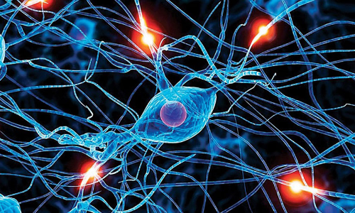 രക്താർബുദ ചികിത്സക്ക് പ്രാദേശിക ടി-സെൽ തെറപ്പി പരീക്ഷണം തുടങ്ങി