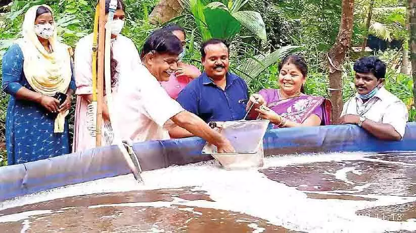 മത്സ്യകൃഷിയിൽ മുന്നേറി കൊടുവായൂർ പഞ്ചായത്ത്