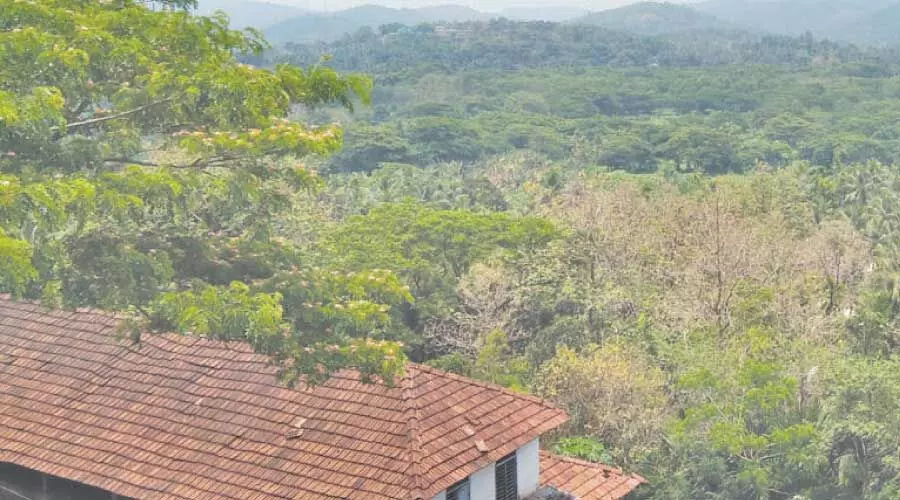 ഗ്രാസിമിന് താഴുവീണിട്ട് രണ്ടു പതിറ്റാണ്ട്; പ്രതീക്ഷ കൈവിടാതെ മാവൂരിൻെറ കാത്തിരിപ്പ്