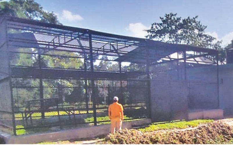 വന്യമൃഗങ്ങൾക്കായി ആതുരാലയം; നിർമാണം അവസാനഘട്ടത്തിൽ വന്യമൃഗങ്ങൾക്കായി ആതുരാലയം; നിർമാണം അവസാനഘട്ടത്തിൽ