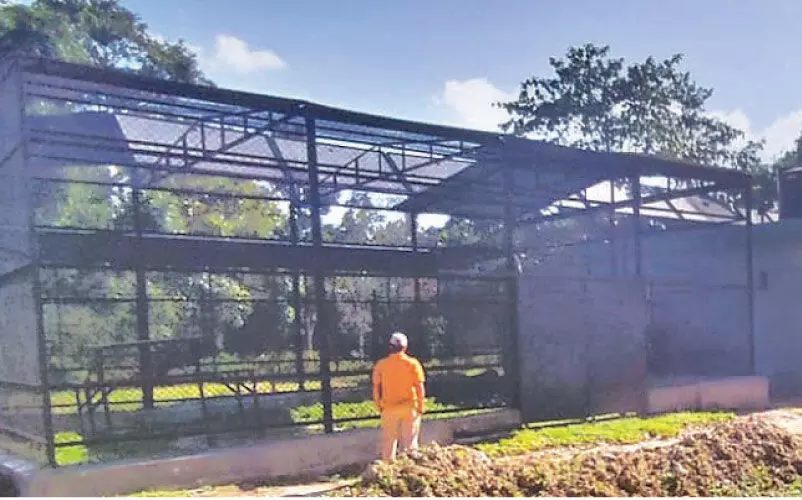 വന്യമൃഗങ്ങൾക്കായി ആതുരാലയം; നിർമാണം അവസാനഘട്ടത്തിൽ വന്യമൃഗങ്ങൾക്കായി ആതുരാലയം; നിർമാണം അവസാനഘട്ടത്തിൽ