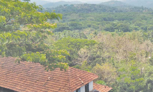 ഗ്രാസിമിന് താഴുവീണിട്ട് രണ്ടു പതിറ്റാണ്ട്; പ്രതീക്ഷ കൈവിടാതെ മാവൂരിൻെറ കാത്തിരിപ്പ്