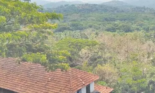 ഗ്രാസിമിന് താഴുവീണിട്ട് രണ്ടു പതിറ്റാണ്ട്; പ്രതീക്ഷ കൈവിടാതെ മാവൂരിൻെറ കാത്തിരിപ്പ്