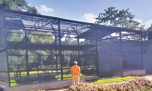 വ​ന്യ​മൃ​ഗ​ങ്ങ​ൾ​ക്കാ​യി ആ​തു​രാ​ല​യം; നി​ർ​മാ​ണം അ​വ​സാ​ന​ഘ​ട്ട​ത്തി​ൽ