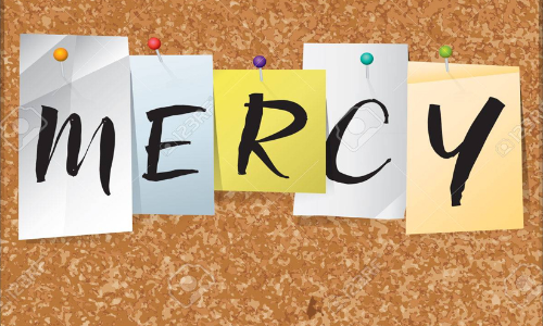 കാരുണ്യം കനിവായി ഒഴുകി; ബിരിയാണി ചലഞ്ച് വേറിട്ടതായി