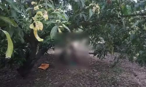 salem childrens killed by father