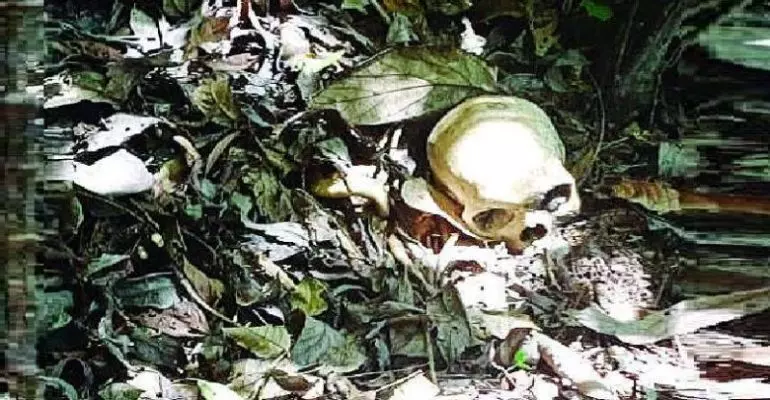 വനത്തിനുള്ളിൽ അസ്ഥികൂടം കണ്ടെത്തി