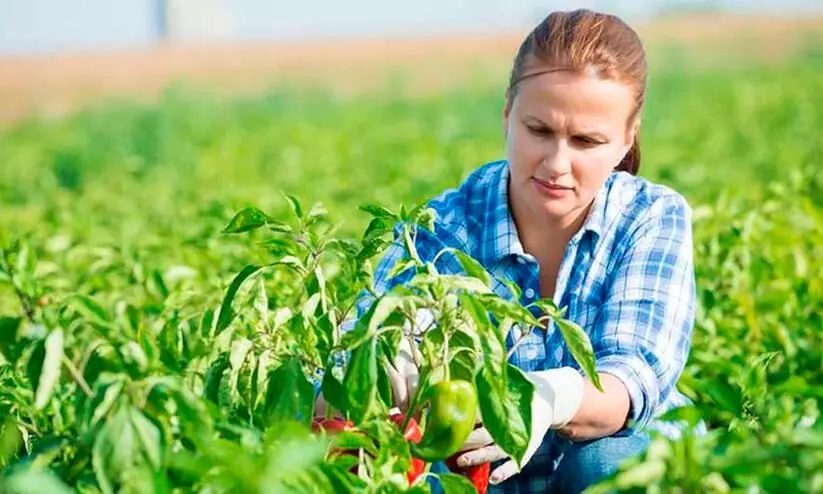 Learn enjoy and earn farming Agriculture Courses