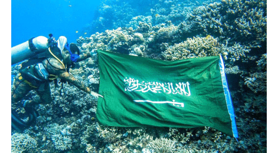 വേറിട്ട കാഴ്​ചയൊരുക്കി മുങ്ങൽ വിദഗ്​​ധരുടെ ദേശീയദിനാഘോഷം