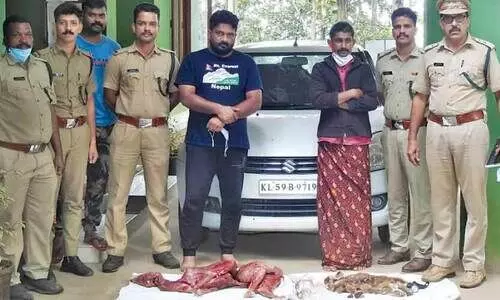 പുള്ളിമാനെ വേട്ടയാടി കൊന്ന രണ്ടുപേർ പിടിയിൽ