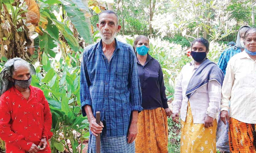 86ാം വയസ്സിലും തൊഴിലുറപ്പ് ജോലിയിൽ ചുറുചുറുക്കോടെ മുഹമ്മദ്​