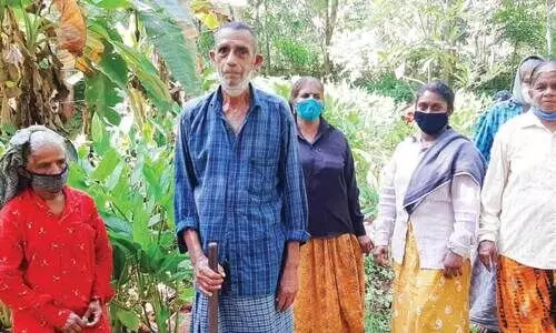 86ാം വയസ്സിലും തൊഴിലുറപ്പ് ജോലിയിൽ ചുറുചുറുക്കോടെ മുഹമ്മദ്​