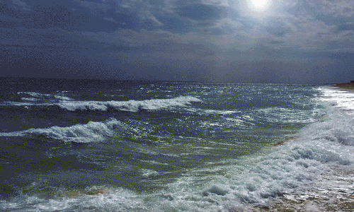 സംരക്ഷിതതീരങ്ങൾ കൂടി പൊതുജനങ്ങൾക്കായി തുറന്ന്​ അബൂദബി