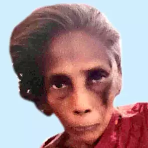 സെ​ല്ലു