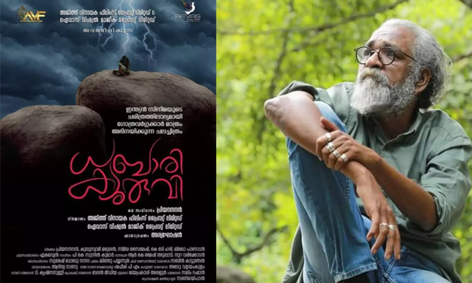 ത​െൻറ സിനിമയിലെ ഗാനചിത്രീകരണത്തെ അപമാനിക്കുന്ന വ്യാജ വിഡിയോക്കെതിരെ പ്രിയനന്ദൻ