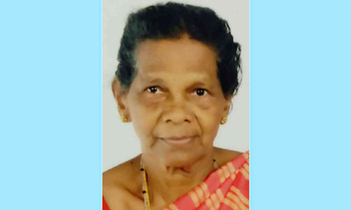 നാലുദിവസം പിന്നിട്ടിട്ടും വയോധികയെ കണ്ടെത്താനായില്ല